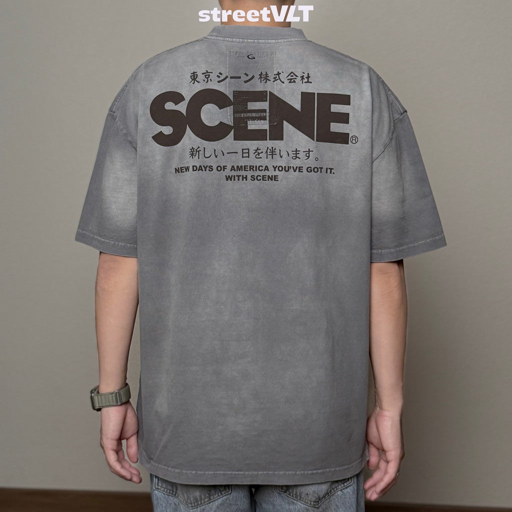Gro Grocery X Scene Retro Logo Washed Faded Grey Tee
