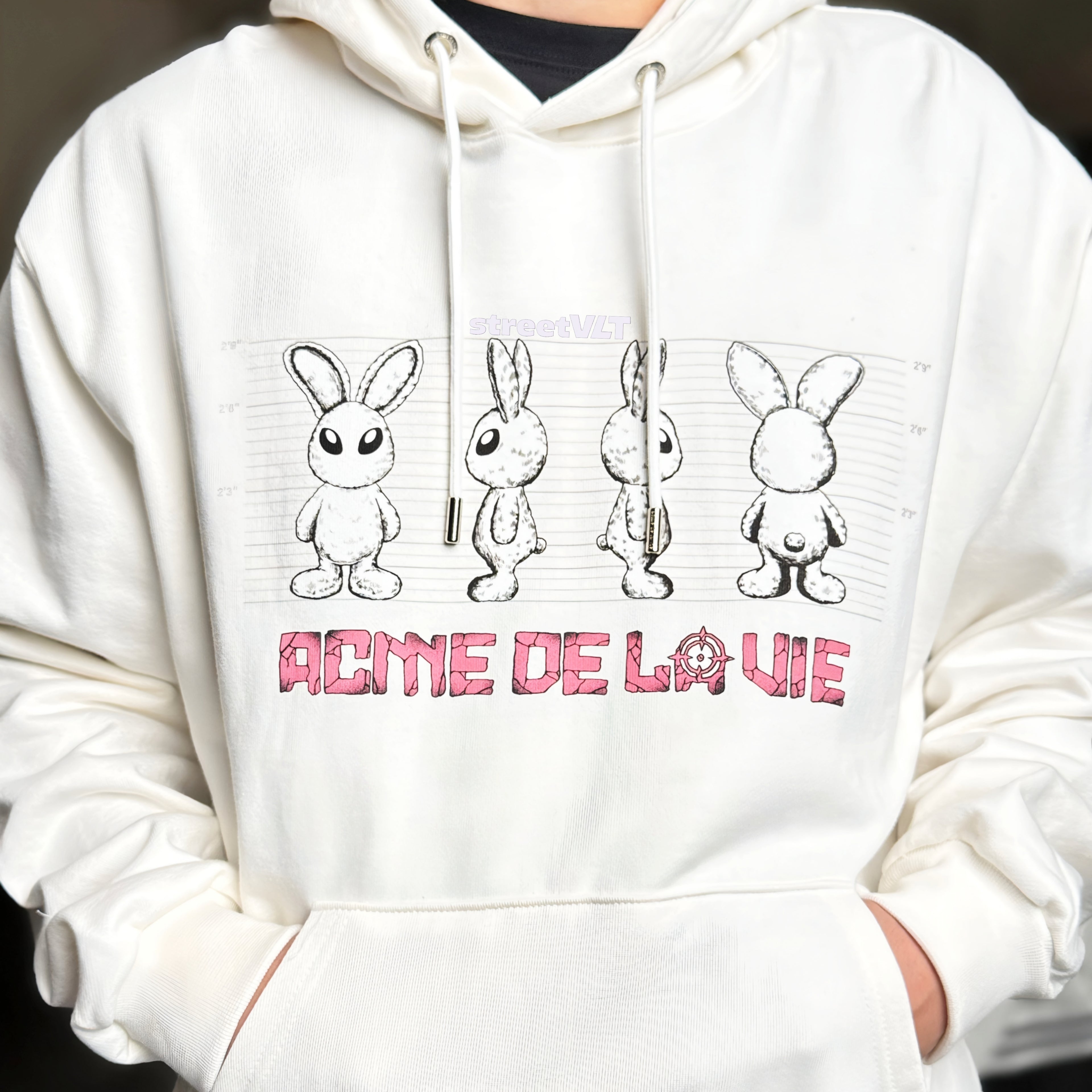 ADLV Mugshot Alien Hoodie