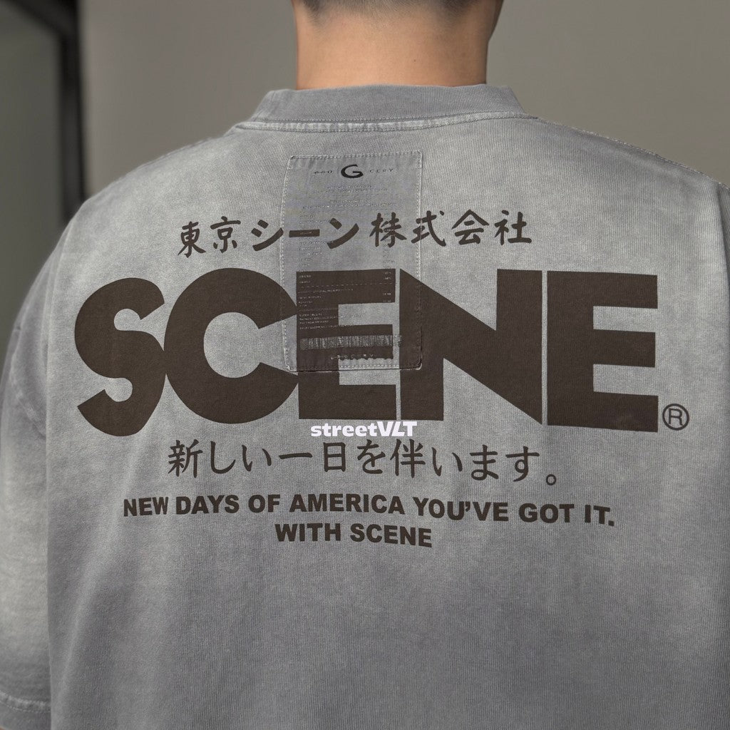 Gro Grocery X Scene Retro Logo Washed Faded Grey Tee