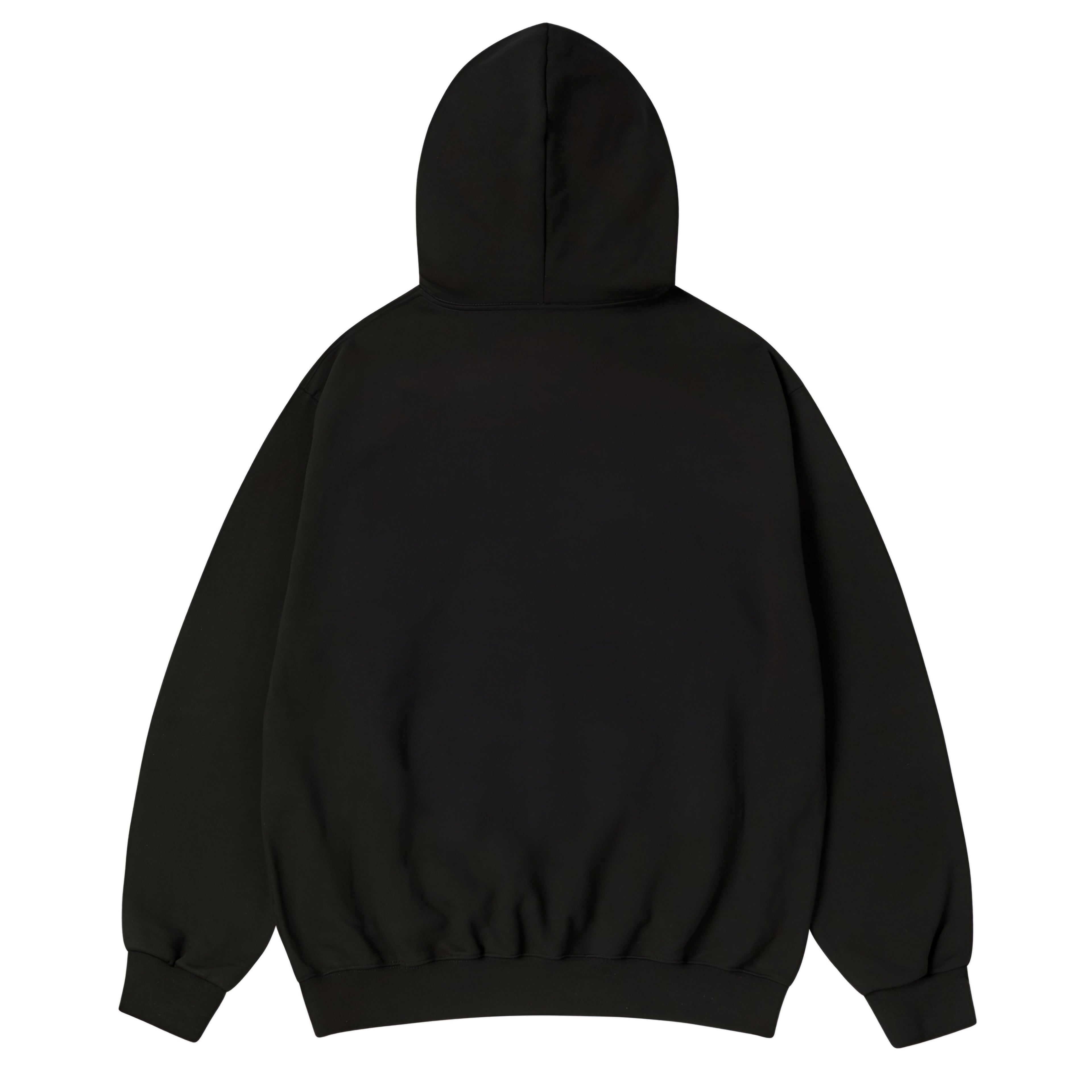ADLV Piggyback Hoodie